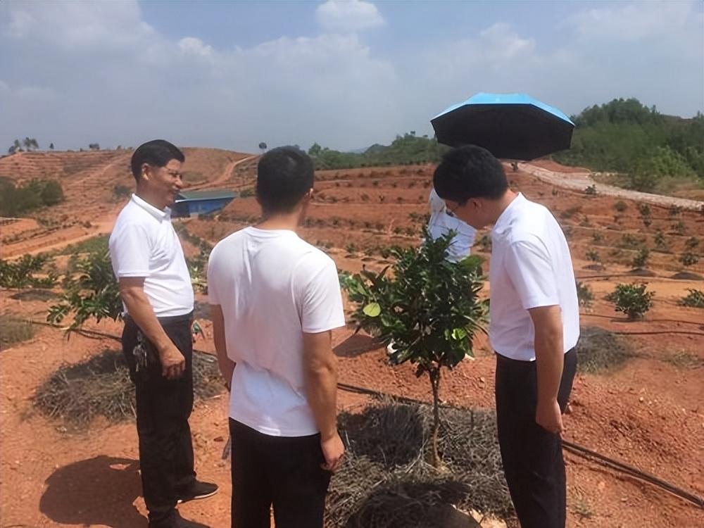 源太村委会新项目启动，乡村振兴的新动力